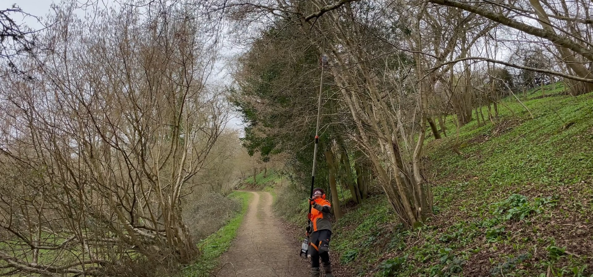 Tree service professional with chainsaw working on trail clearing in Johns Creek