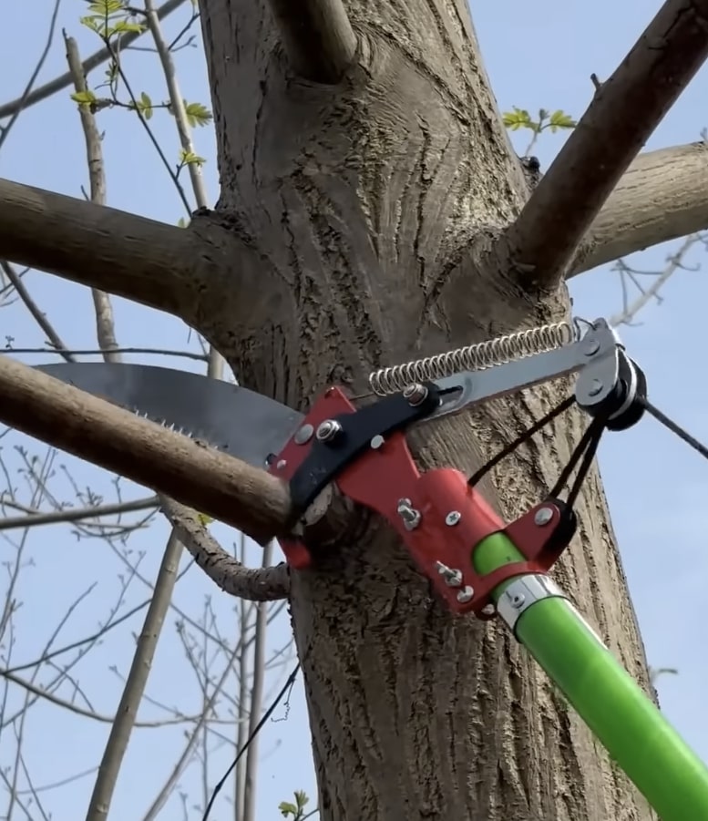 Specialized pole saw equipment for precise tree branch cutting