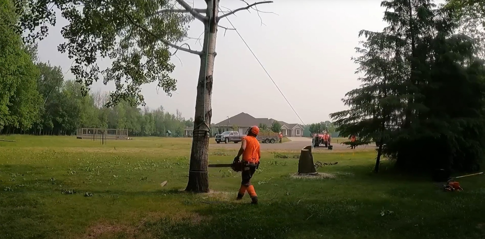 Tree trimming and maintenance service Tree trimming service removing lower branches in residential area