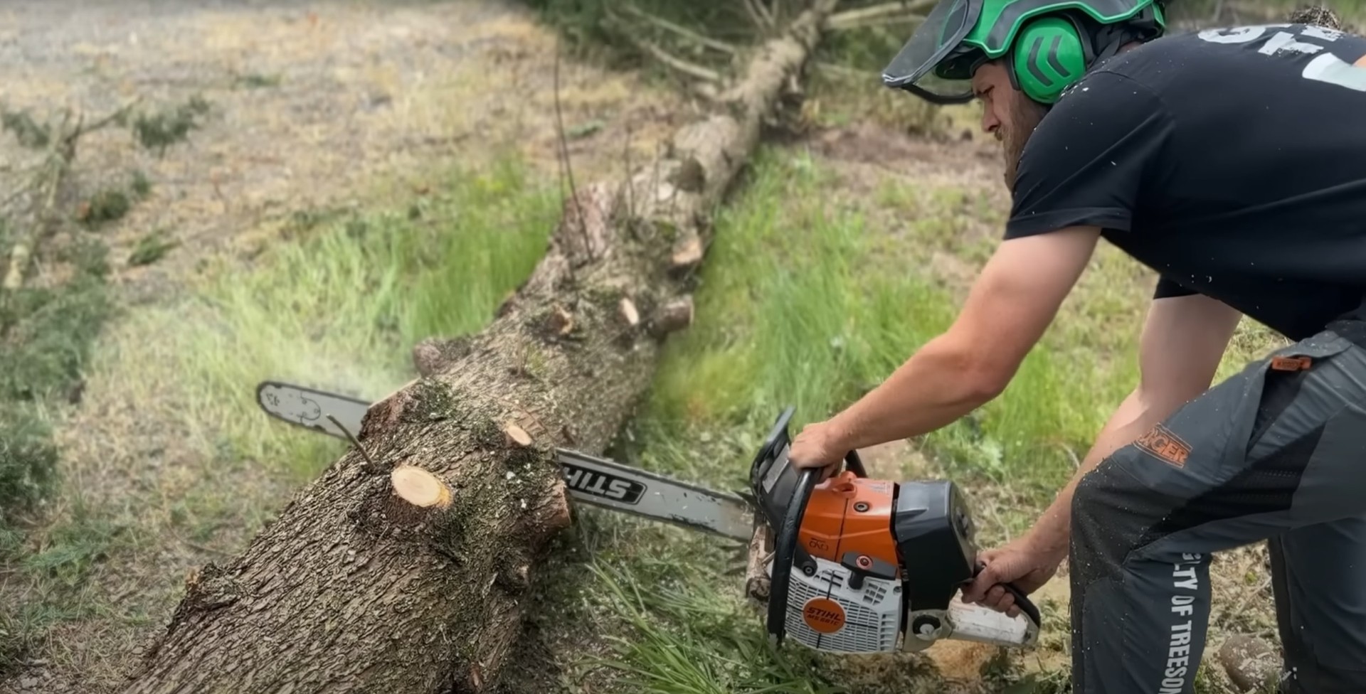 Professional arborist using chainsaw for detailed tree cutting work