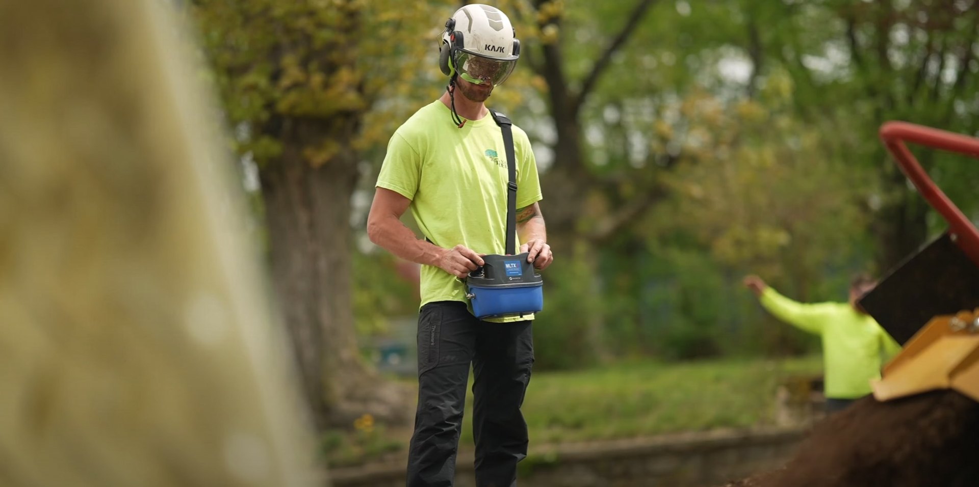 Professional arborist with safety gear and blue measuring device inspecting trees