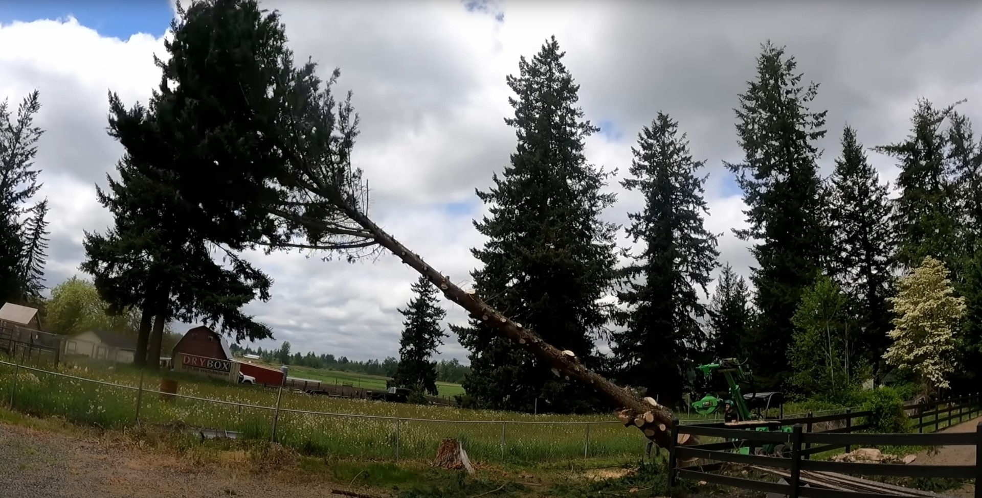 Crane-assisted tree removal service Large tree removal using professional crane equipment in residential area